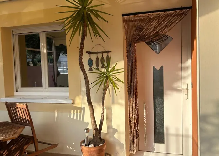 Mediterranean Garden *